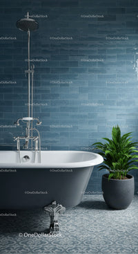 Vintage clawfoot bathtub with shower and green plant
