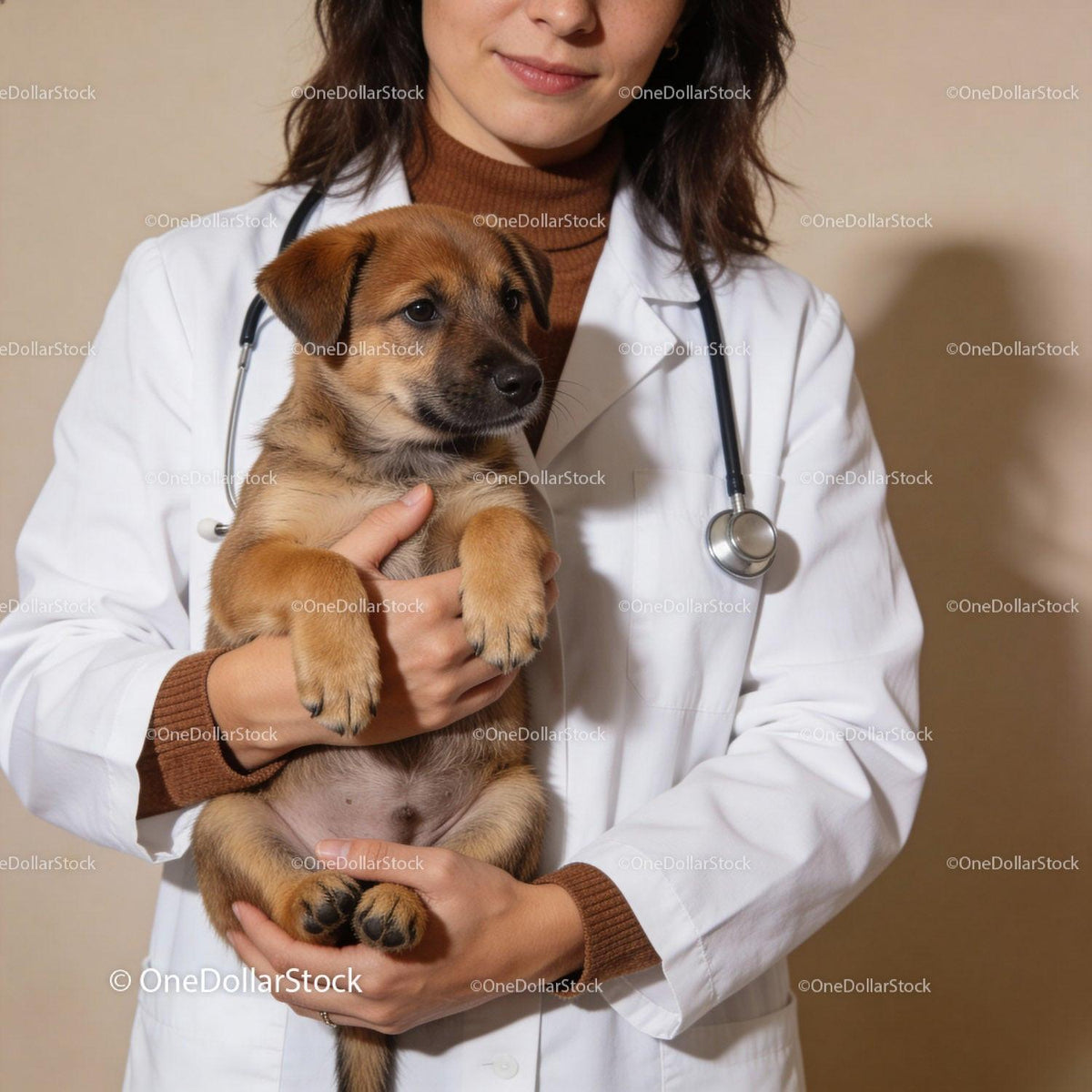 Veterinarian Holding Adorable Puppy in Clinic Setting