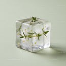 Clear Ice Cube with Fresh Herb and Bubbles