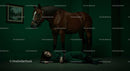 Woman Lying on Floor Beside a Horse in Dramatic Green Room