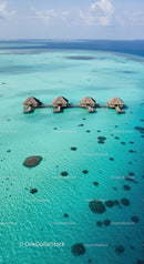 Overwater Bungalows in Turquoise Water on Tropical Island