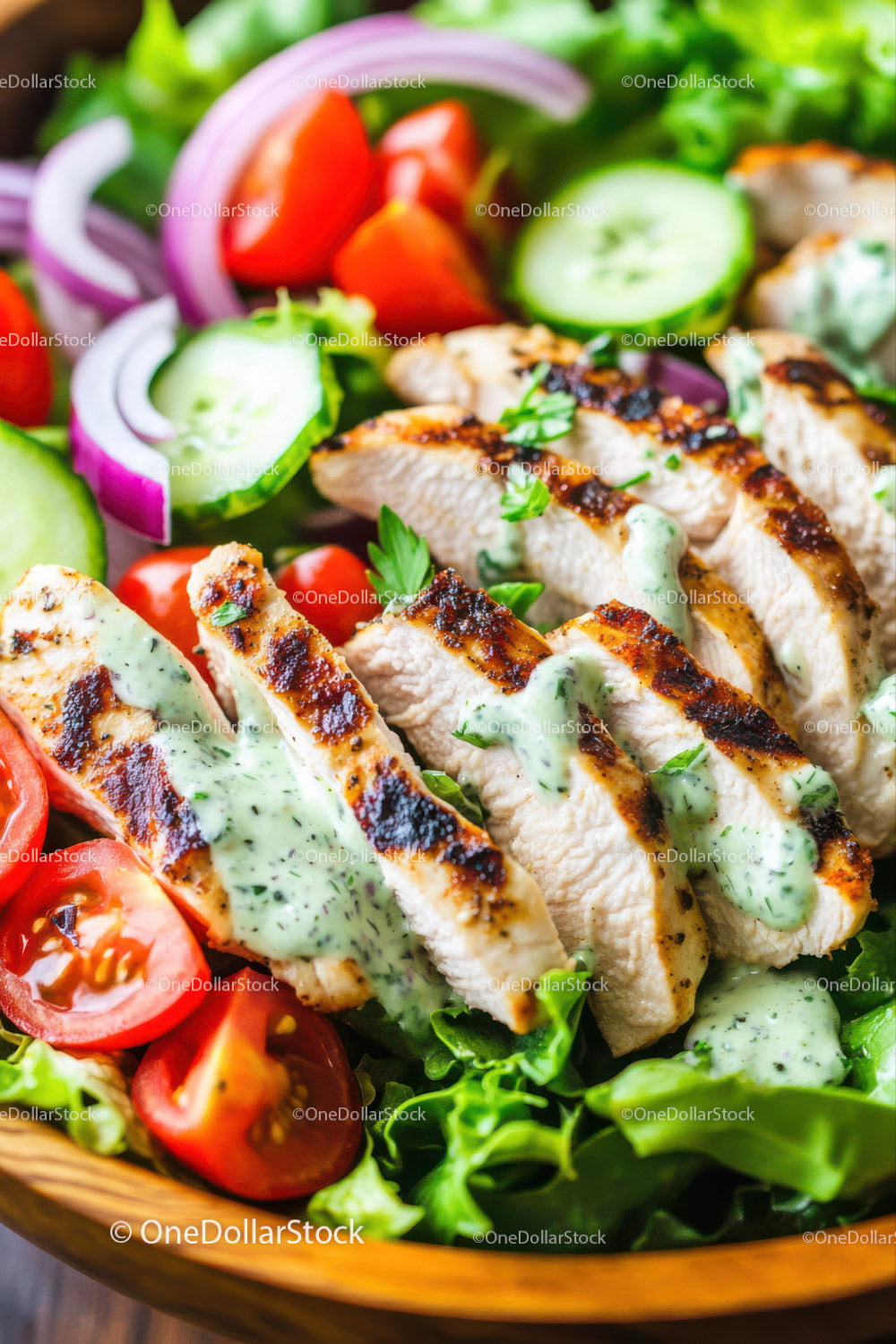 Grilled Chicken Salad with Fresh Vegetables and Herb Dressing