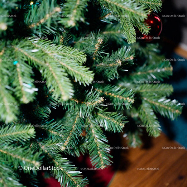 Close Up of Green Christmas Tree Branches with Ornament