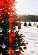 Decorated Christmas Tree Outdoors on Snowy Winter Day