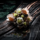 Elegant Sashimi Platter with Fresh Fish and Edible Flowers