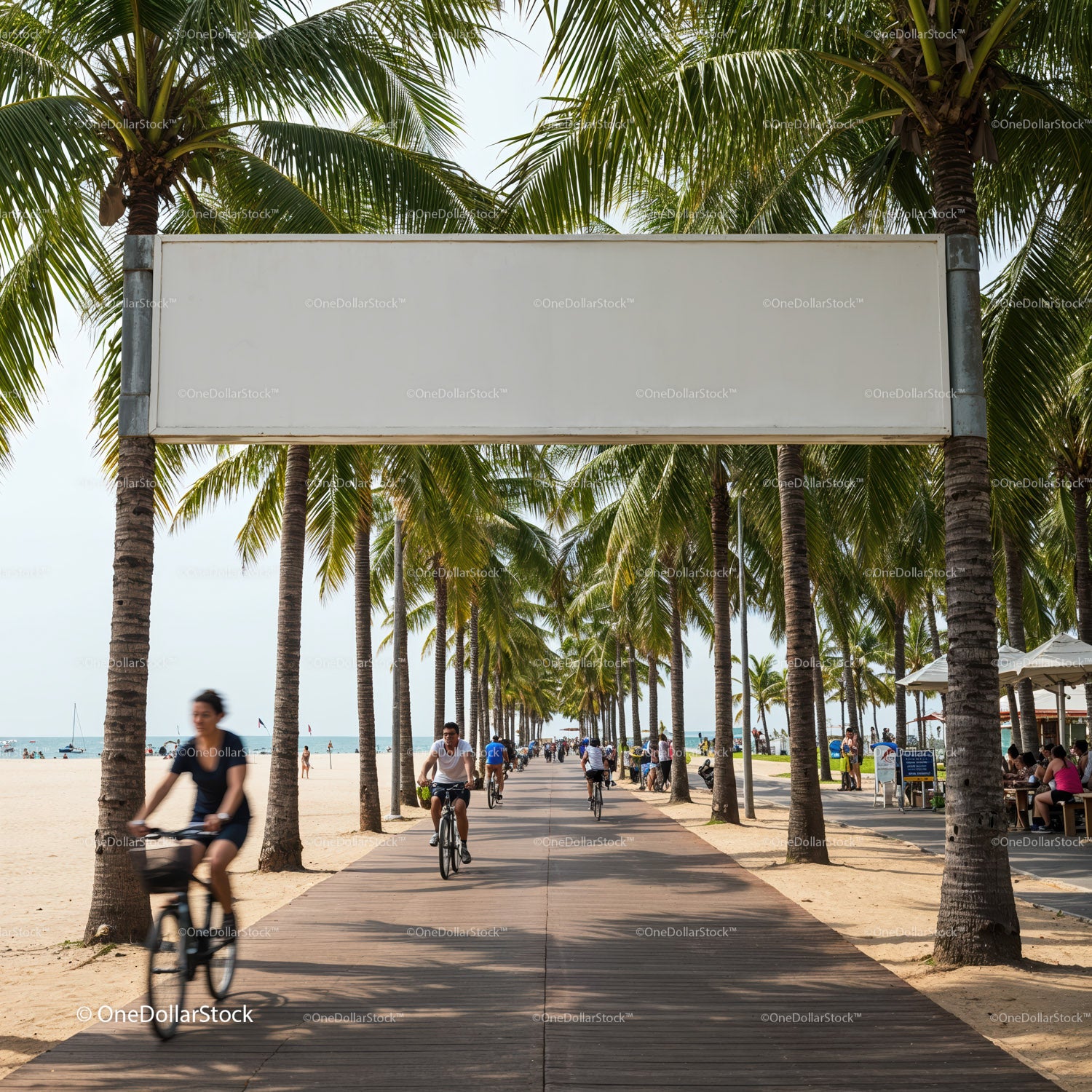 Promenada z palmami i rowerzystami przy plaży