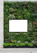 Blank billboard framed by lush green vertical garden