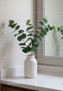 Elegant Green Eucalyptus Plant in White Vase Indoor Decor
