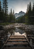 Mountain view over rocky river framed by pine forest