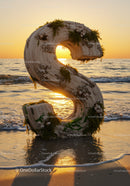 Letter S made of driftwood with sea plants at sunset