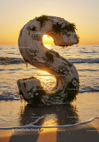Letter S made of driftwood with sea plants at sunset