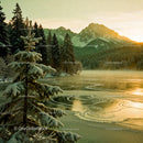Winter Lake with Snowy Pines at Golden Hour