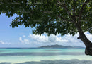 Tropical Beach Scene with Lush Green Tree and Calm Ocean Waters