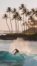 Surfer carving a wave near palm trees at sunset