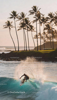 Surfer carving a wave near palm trees at sunset