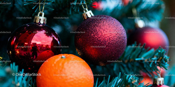 Festive Red Christmas Ornaments on Pine Tree Branch