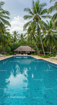 Tropical Resort Pool with Palm Trees and Lush Greenery