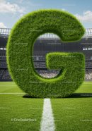 G shaped grass sculpture on soccer field centerline