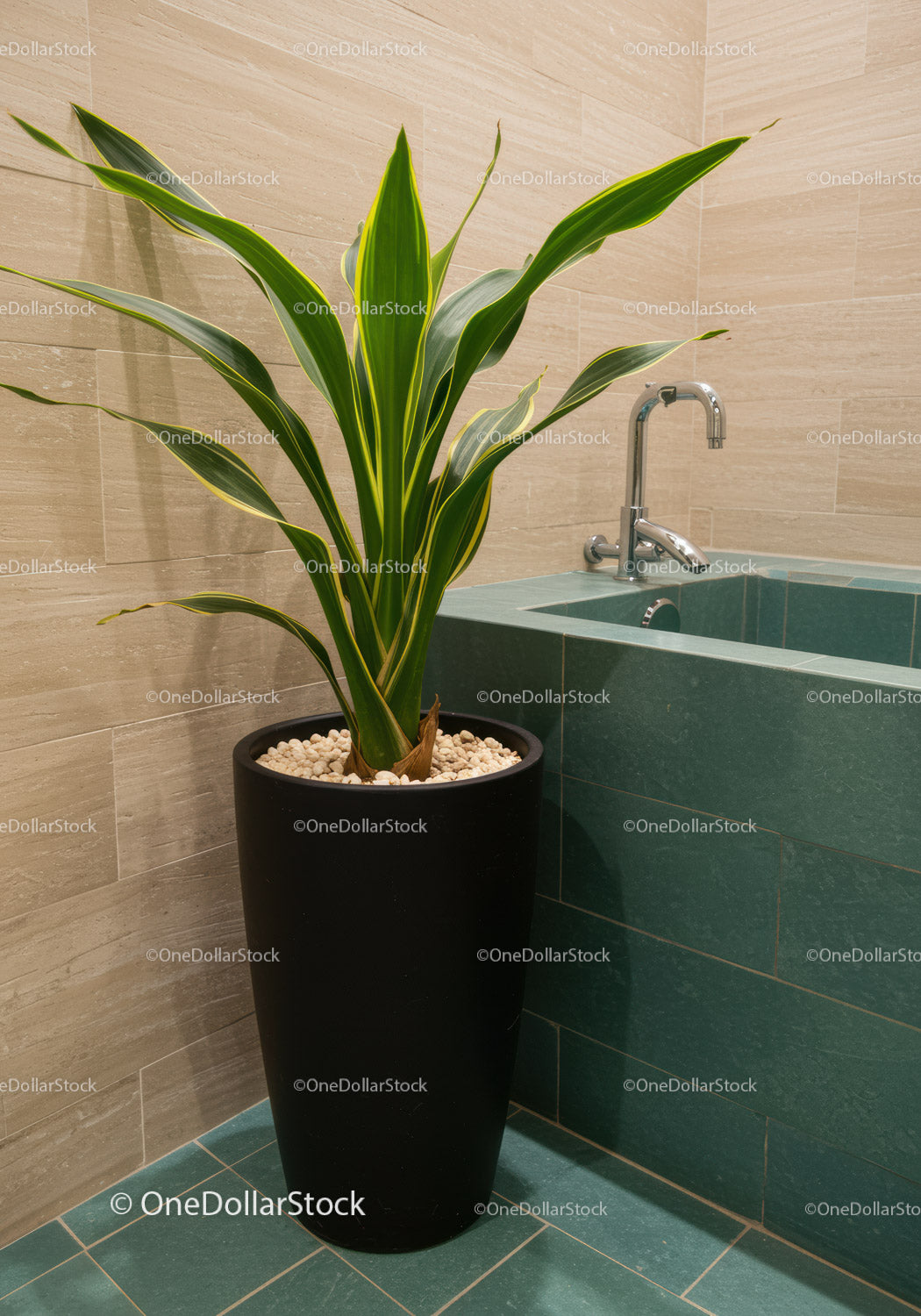 Stylish Indoor Green Plant in Modern Bathroom Decoration
