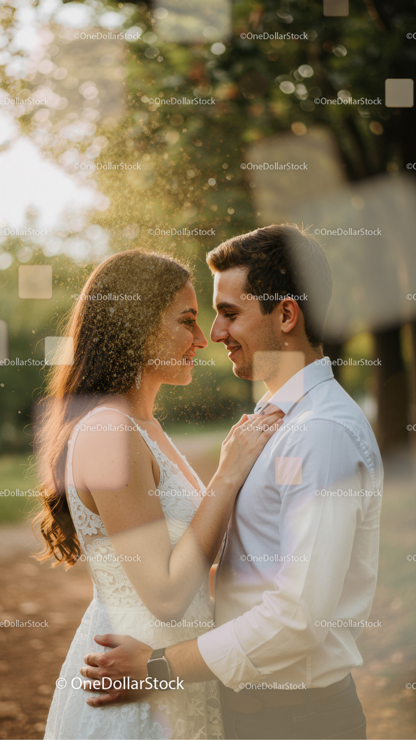 Before and after Wedding Photo Overlays effect