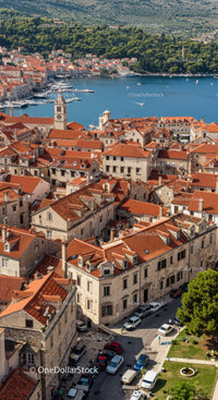 Picturesque Coastal Town with Red Tiled Roofs and Seaside Harbor