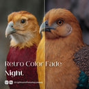 Retro Color Fade Night Presets (10 XMP files)