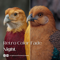 Retro Color Fade Night Presets (10 XMP files)