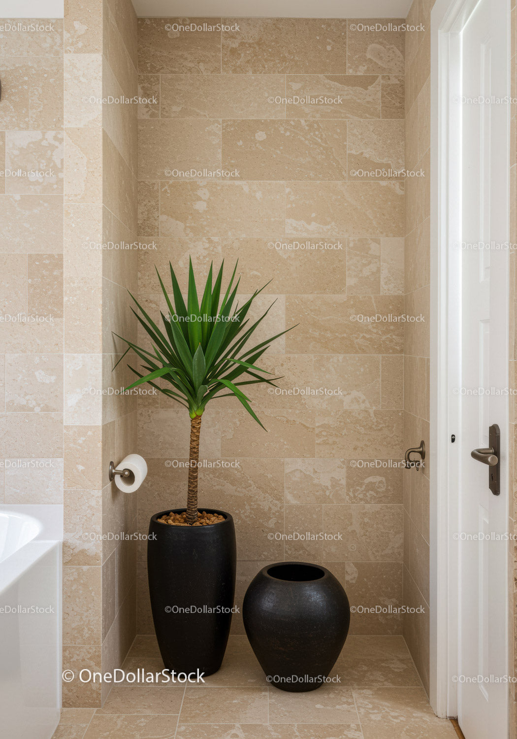 Modern Indoor Potted Yucca Plant in Stylish Black Vases