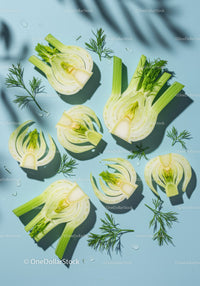 Fresh fennel bulbs sliced on pastel blue background
