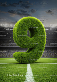 Green Grass Number Nine Standing on Soccer Field