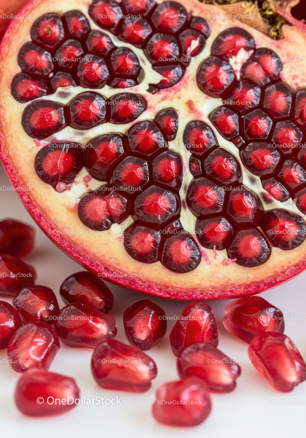Close up of juicy pomegranate seeds inside fruit half