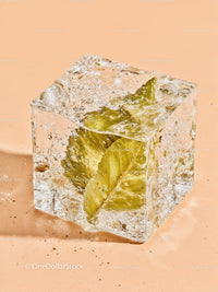 Fresh green leaves frozen inside a clear ice cube
