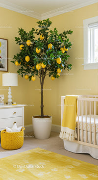 Lemon Tree Indoor Plant in Bright Home with Yellow Decor