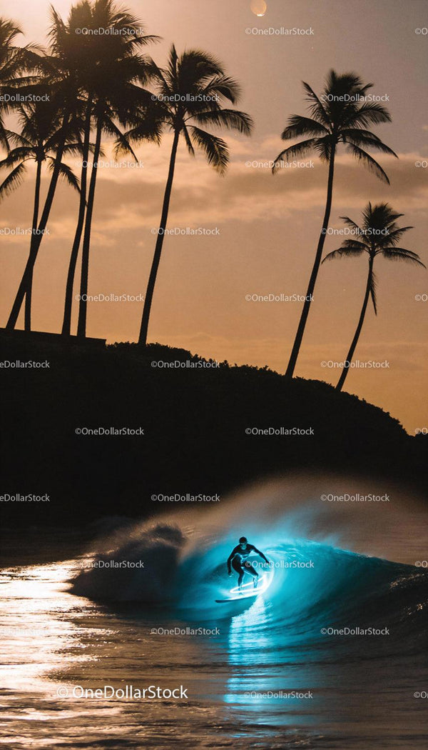 Surfer Riding Illuminated Wave at Sunset with Palm Trees