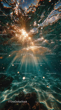 Enchanting Underwater Scene with Sunlight and Bubbles
