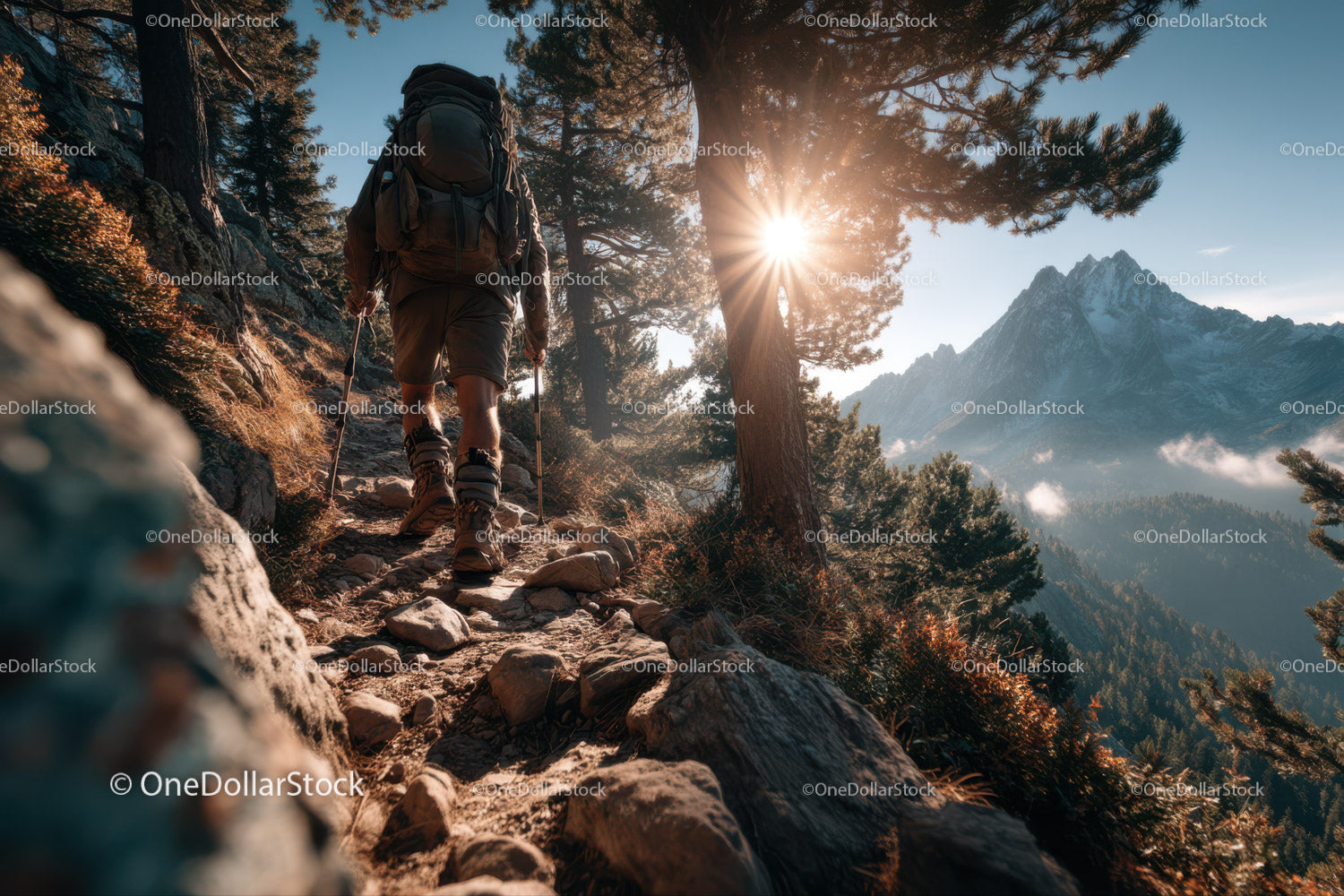 Mountain Trail Hiker Trekking in Scenic Wilderness With Sunlight