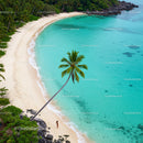 Lonely Traveler on a Tropical Beach Under a Palm Tree
