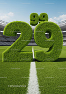 Green Grass Numbers 29 99 on Football Field
