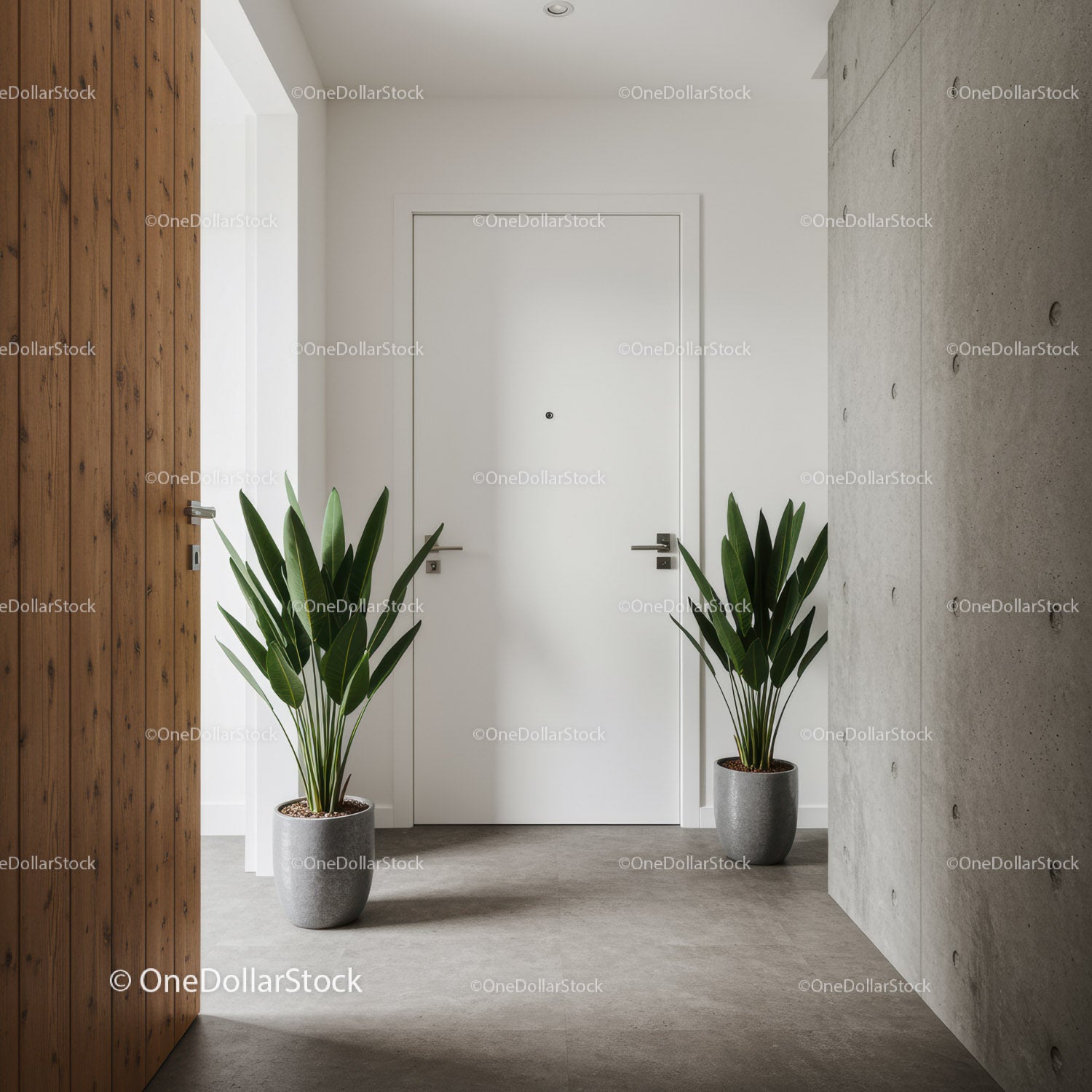 Modern Minimalist Hallway with White Door and Green Foliage
