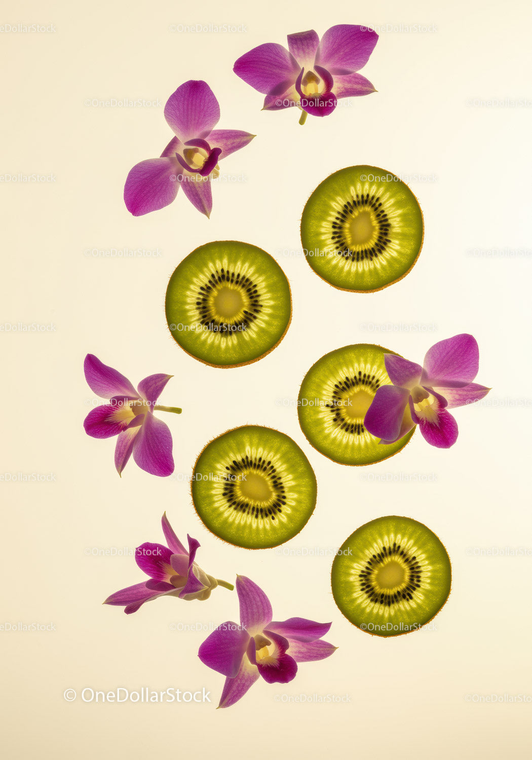 Fresh kiwi slices with vibrant orchid flowers on light