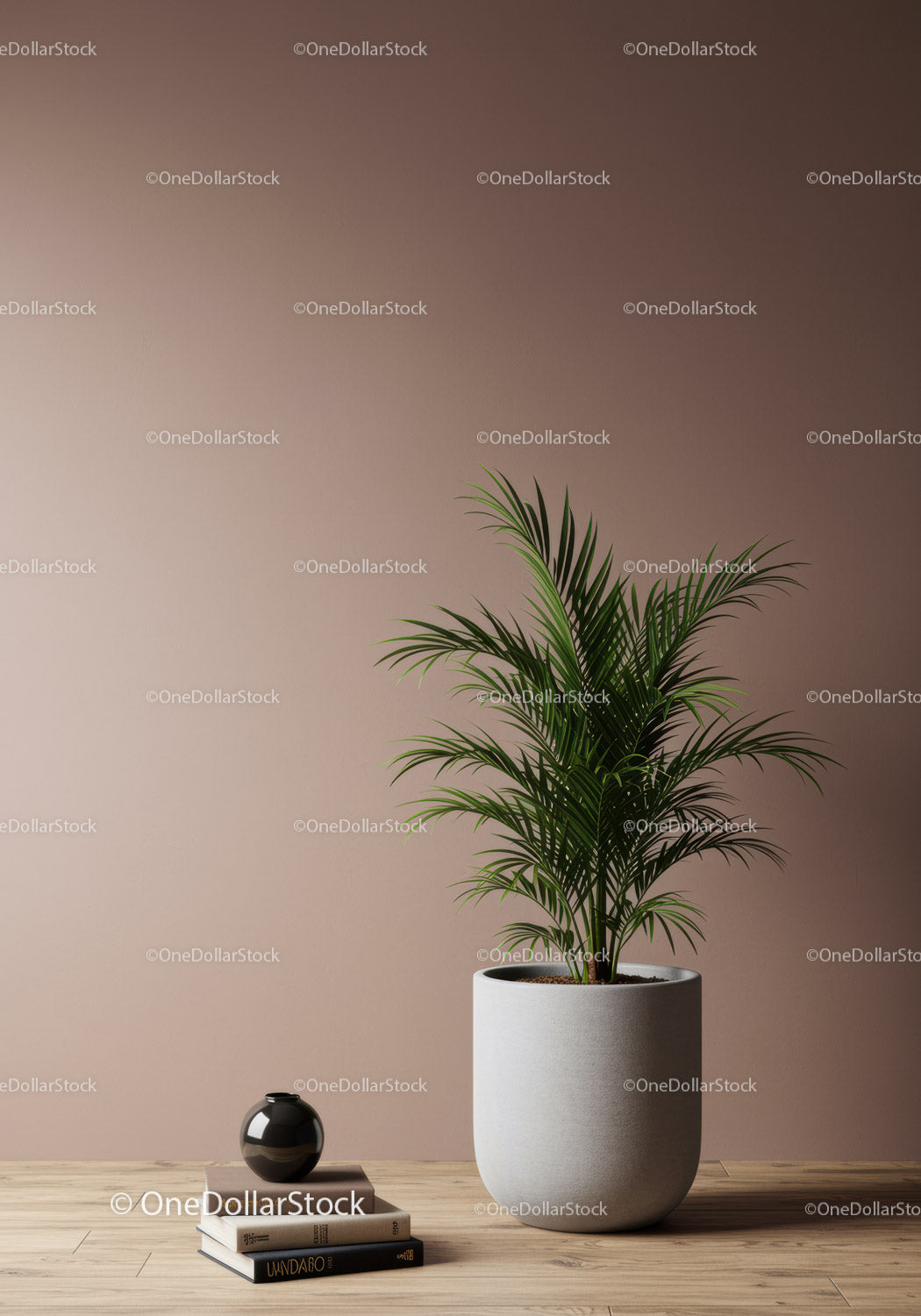 Indoor Palm Plant in White Pot in Modern Minimalist Home