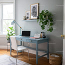 Modern Blue Desk Workspace with Green Houseplants and Wall Art
