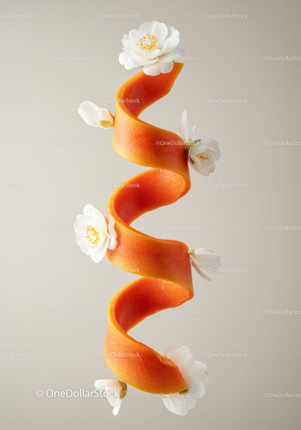 Spiral Papaya Peel with Delicate White Flowers