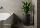 Modern Bathroom Decor with Green Plant in Black Pot and Bathtub
