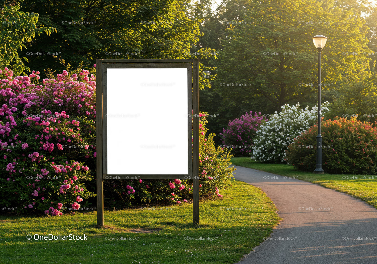Empty wooden billboard surrounded by summer garden path