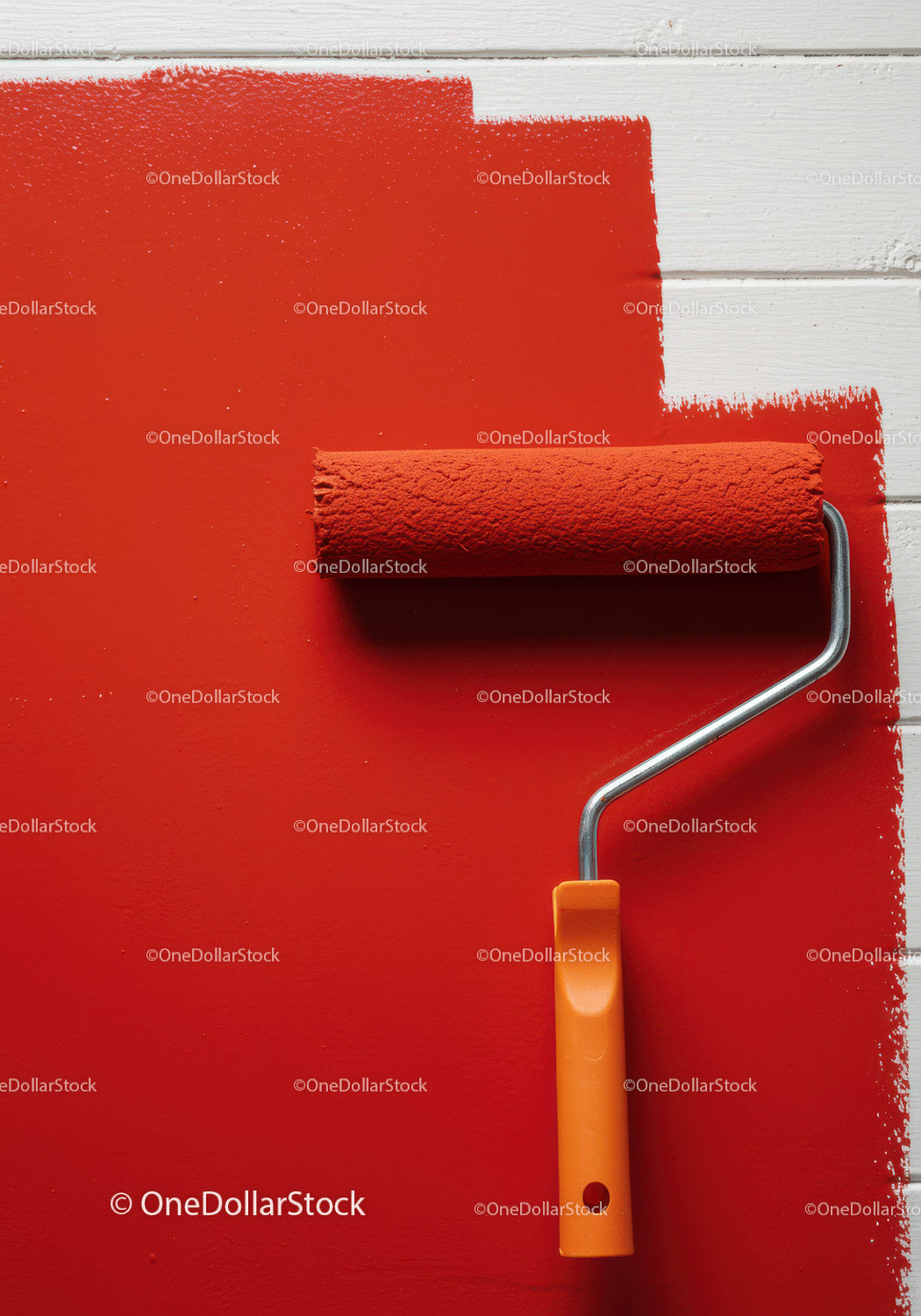 Red Interior Wall Painted with Roller Brush for Home Renovation