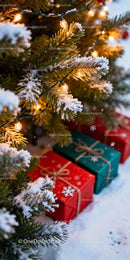 Snow Covered Pine Branches with Warm Christmas Lights