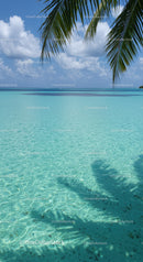 Tropical Beach Scene with Palm Trees and Clear Turquoise Water