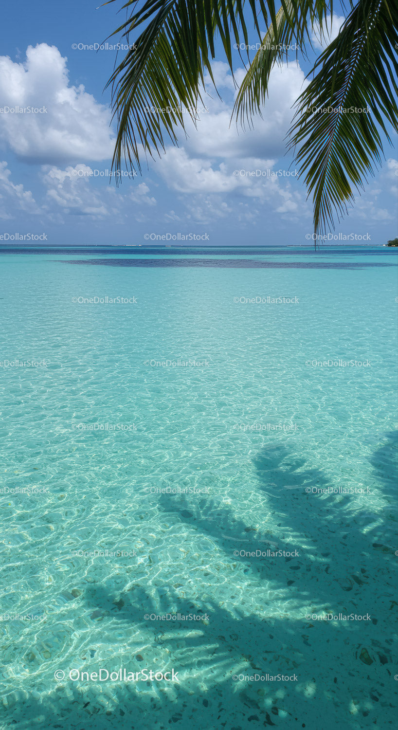 Tropical Beach Scene with Palm Trees and Clear Turquoise Water