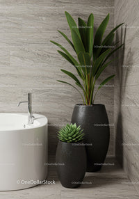 Elegant Large Green Leafy Indoor Plant in Modern Home Decor